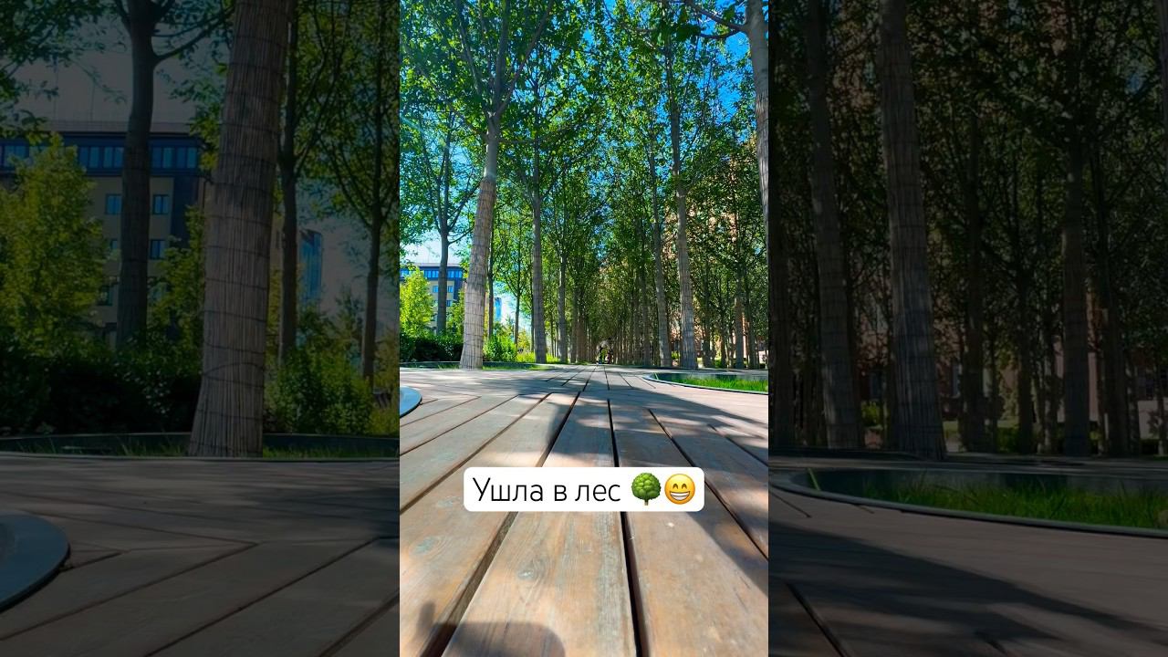 #top #love #рекомендации #like #подпишись #рек #top #trend #best #shorts #тренды #video #music #cool