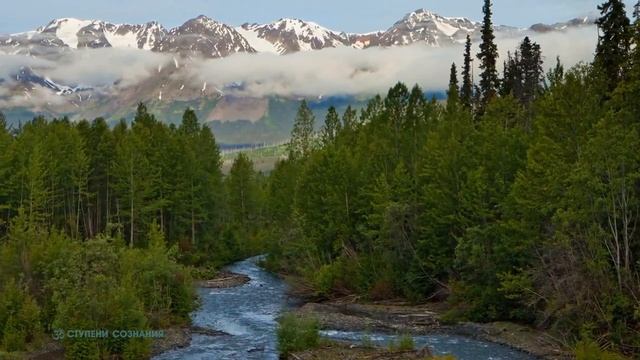 Метод освобождения эмоций  Nikosho