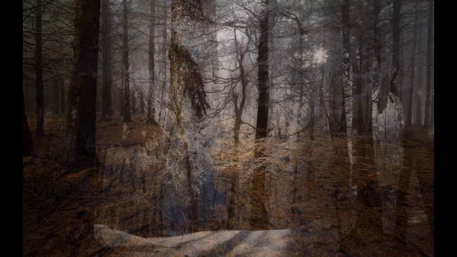 копия фото смотреть онлайн