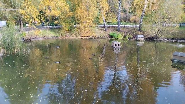 Игуменский парк (Томск) смотреть онлайн