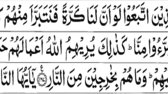 Surah Al-Baqarah ayat (159-176)How to Learn Quran Surah Al-Baqarah Word to Word | Education 115 смотреть онлайн