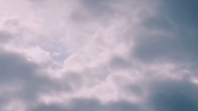 Сокол Сапсан(HD)Falcon Pelegrinus took the Dove смотреть онлайн