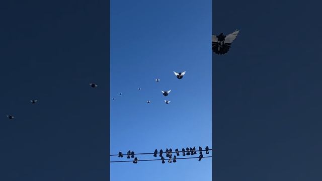 12 января 2024 г. смотреть онлайн