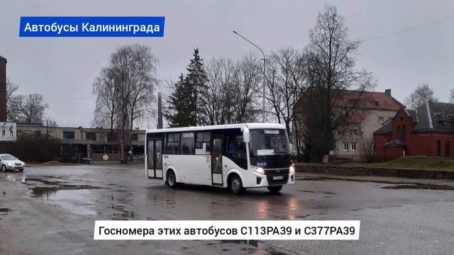 На городских маршрутах Советска работают два новых автобуса модели ПАЗ-320415-04 "Vector Next" смотреть онлайн