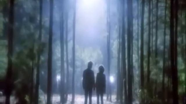 Финал 5 сезона Дневники Вампира. Final Scene 5x22 The Vampire Diaries смотреть онлайн