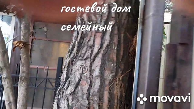 гостевой дом семейный в лазаревском смотреть онлайн
