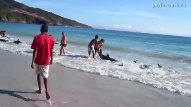 Добрые дела. Мир полон добрых людей!