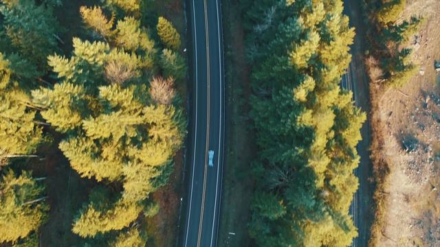 Inspiring Acoustic Background Music смотреть онлайн