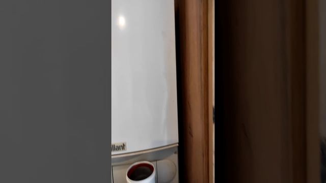 Теплоизоляция дымохода газового котла. #газовыйкотел #сервисвдом смотреть онлайн