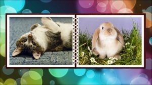 Музыкальный фотоальбом - шаблоны слайд-шоу