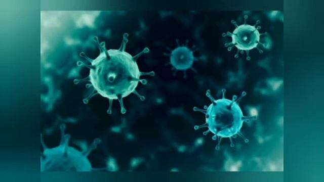 Kinds of Microbes смотреть онлайн