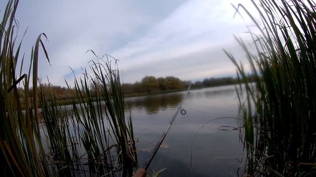 Щука на спининг.КРАСИВО УШЛА!?? смотреть онлайн