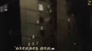 Монстр палочник в России!