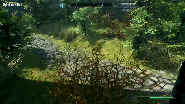 Imperial Battle Conjurer (9) - THE DAPPLE BROWN HORSE - Skyrim AE Legendary Survival смотреть онлайн