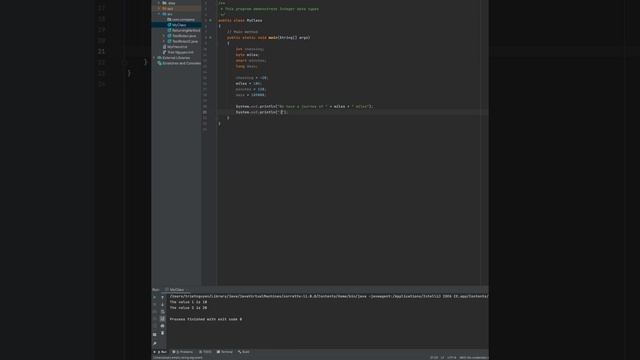 Java Integer variables Ex1 смотреть онлайн