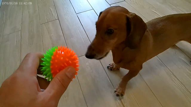 ТАКСА РИДИК ИГРАЕТ МЯЧИКОМ смотреть онлайн