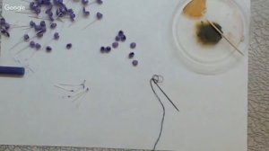 Сирень из фоамирана Мастер класс Lilac from foamiran Master class