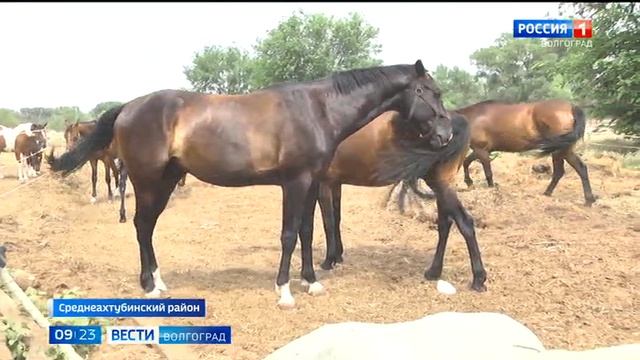 Не целевое использование земель сельхоз назначения смотреть онлайн