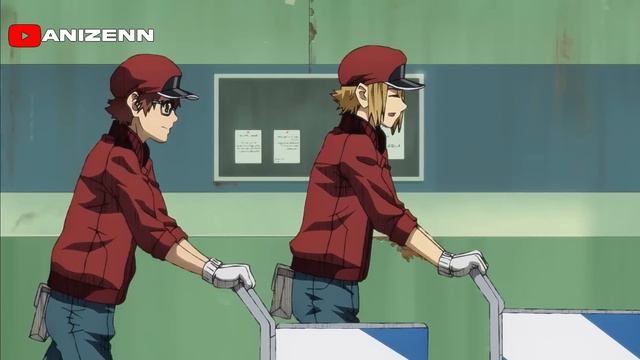 🔶 EN ESTE MUNDO, TODOS SON CÉLULAS EN EL CUERPO HUMANO🔥 | Anime Resumen смотреть онлайн