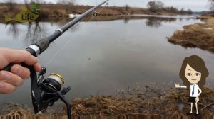 Как и где ловить сазана весной в марте по открытой воде? Секреты ловли сазана в марте!