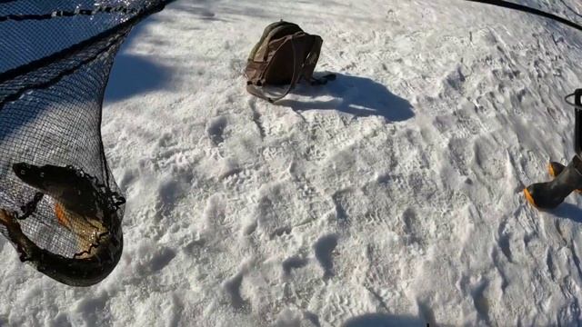 Рыбалка на спиннинг в марте. Река Пахра. смотреть онлайн