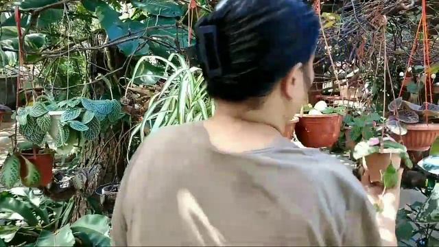 garden space problems? try mo HANGiNG PLANTS! easy and convenient! смотреть онлайн