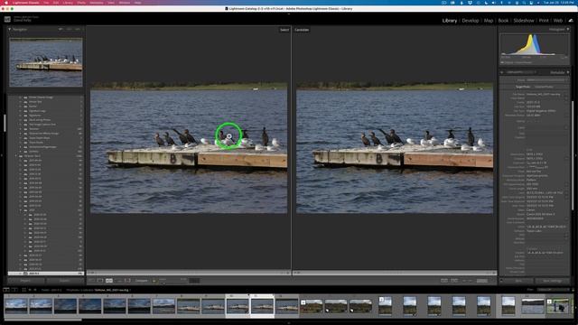 TOPAZ DENOISE AI (New Update V3.5) FIRST LOOK смотреть онлайн