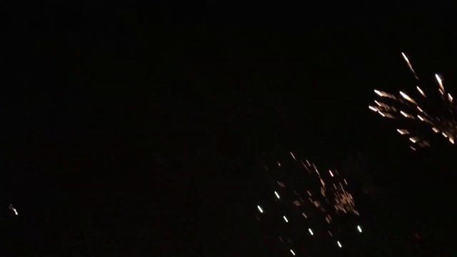 Фанаты воронежского «Факела» отмечают день рождения клуба смотреть онлайн