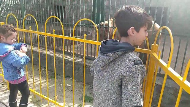 Досуг с детьми смотреть онлайн