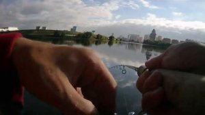 Black Hole Bassmania 662 4-14 г - Твичинг воблерами