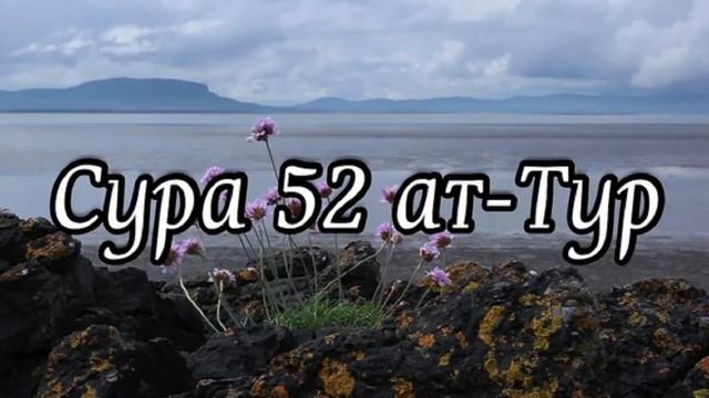 Красивое чтение Сура #Ат Тур #Мишари Рашид #Сура 52 смотреть онлайн