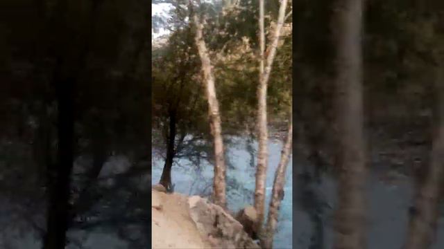 Ромит канаск смотреть онлайн