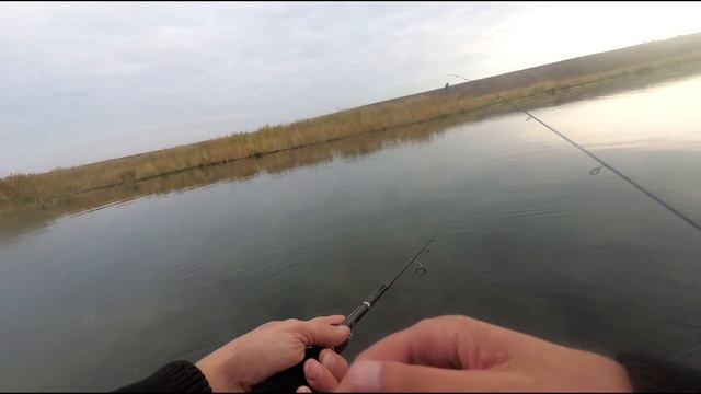 Щука-МАТЬ!!! Рыбалкана Маныче. поимка ТРОФЕЯ смотреть онлайн