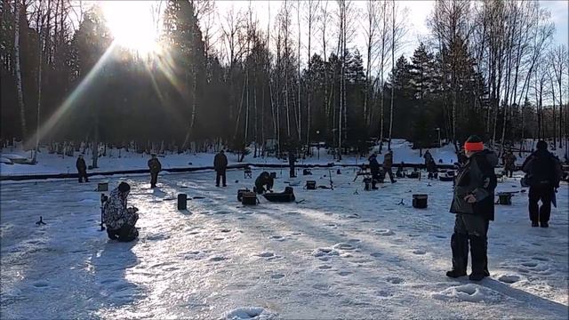 Дообеденные поимки форели на спорт зоне. Клёвое место лосиный остров. смотреть онлайн