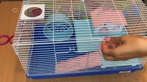 Клетка для джунгарского хомячка. Собираем клетку. Корм для хомяков.