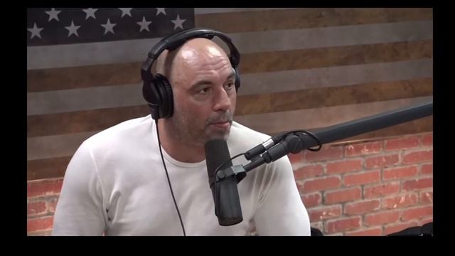 Joe Rogan Bears it | JRE Bears | Why we love Joe Rogan! смотреть онлайн