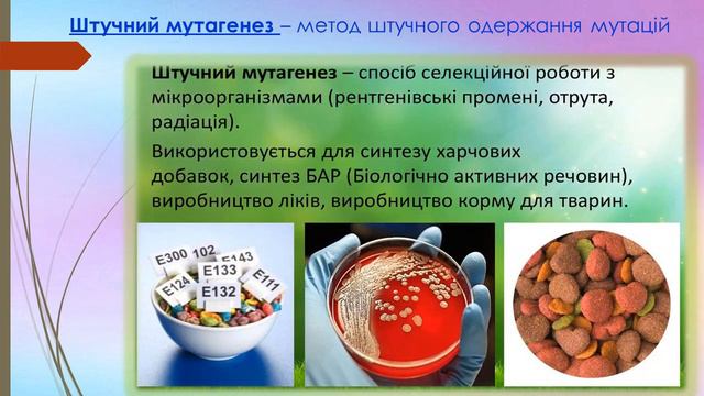 Селекція. Методи селекції смотреть онлайн