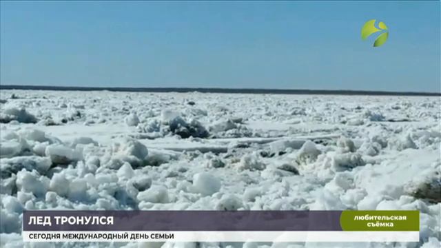 До Салехарда ледоходу осталось около 150 километров смотреть онлайн