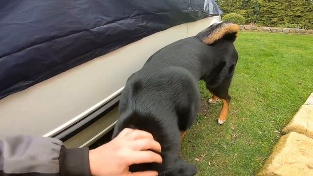 JETTA 2 СВАП! Дористайл из сарая и ЧУТЬ НЕ.. ПРУЖИНОЙ #гольф2 #джетта2 #jetta