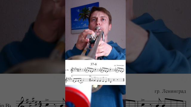 Нет моего размера (37-й) - Ленинград