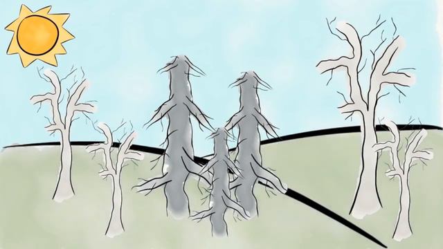 Естествознание 6 класс Причины смены экосистем смотреть онлайн
