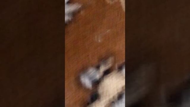 обзорный водяной пистолет и как собрать водяной пистолет первая часть смотреть онлайн