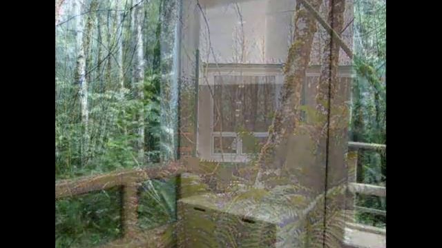 Дом из контейнера в лесу смотреть онлайн