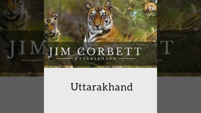 National parks in India🇮🇳 смотреть онлайн