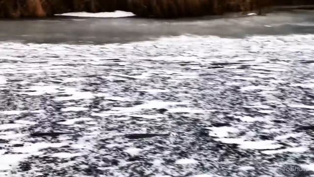 Ловля на Угре / Приятный финал / Зимняя рыбалка / Жерлицы / Онлайн поклёвка / Приключение смотреть онлайн