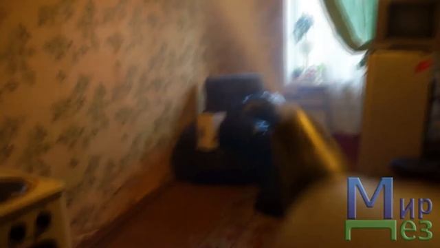 Чистота с вдохновением