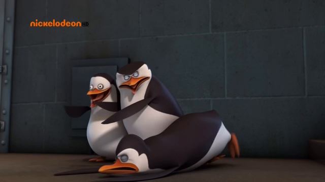 Skipper Funny Moments Pl