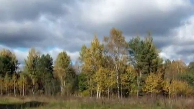Прекрасен ты осенний лес -Relax- смотреть онлайн