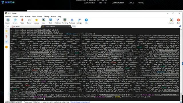 guide install node Teritori смотреть онлайн