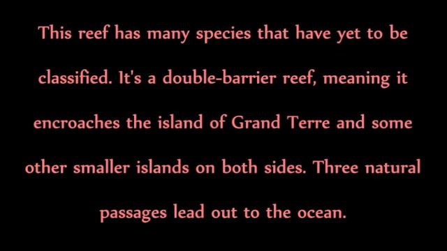 The 10 Largest Coral Reefs